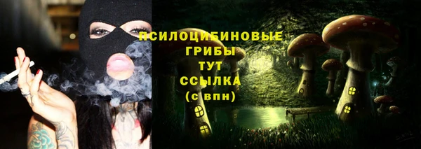 гашик Куйбышев