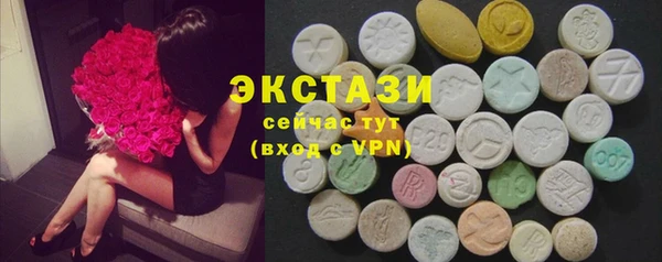 СК Краснослободск