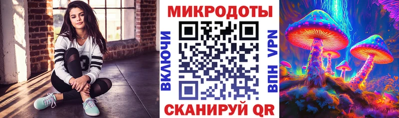 где можно купить наркотик  Ярославль  Псилоцибиновые грибы GOLDEN TEACHER 