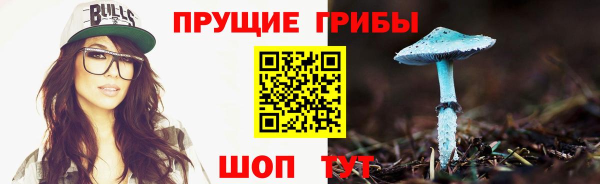 Псилоцибиновые грибы Psilocybe Ярославль